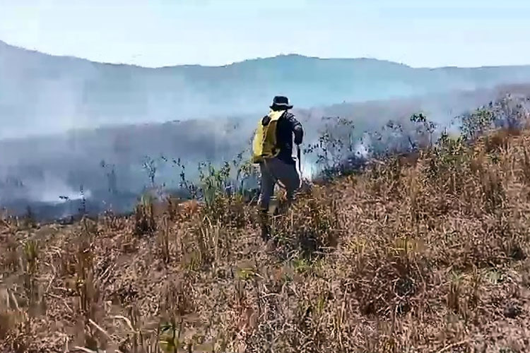 Sekitar 249 Hektare Hutan Rawan Terbakar, Begini Penjelasan Balai TN Matalawa Sumba