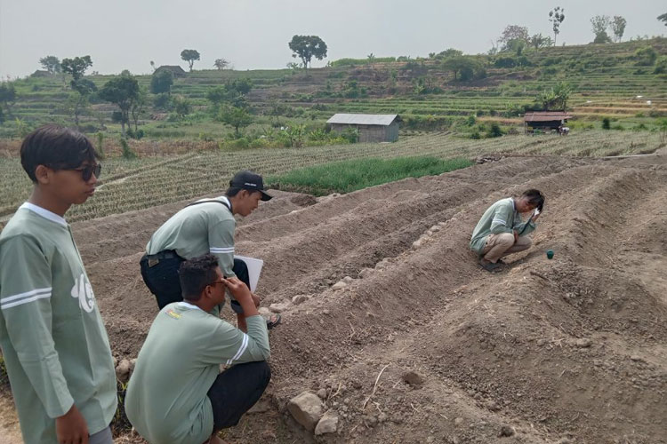 Mahasiswa KSM-T Unisma Malang melakukan pengecekan kadar PH dan kelembaban tanah di sawah milik warga Desa Kemiri menggunakan alat Mediatech Soil Meter. (FOTO: AJP TIMES Indonesia)