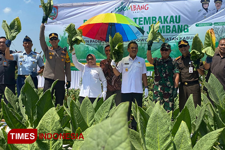 Bupati Jombang Mundjidah Wahab bersama Forkopimda saat mengikuti panen raya tembakau di area persawahan di Dusun Padek, Banjardowo, Kabuh, Jombang, Rabu (13/9/2023). (FOTO: Rohmadi/TIMES Indonesia)