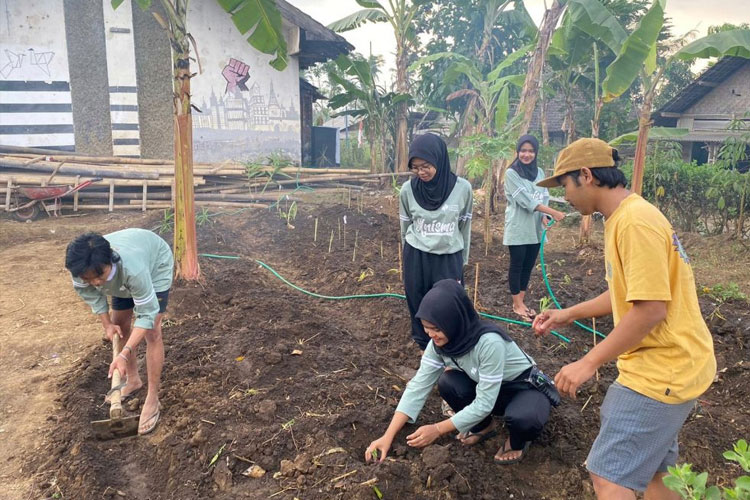 Mahasiswa KSM-T Unisma Malang melakukan penanaman kembali tanaman toga di area perpustakaan dusun Gading. (FOTO: AJP TIMES Indonesia)