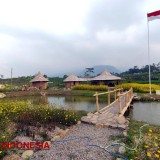 Exploring Lembah Kecubung in Mojokerto: A Haven for Organic Farming and Ecotourism