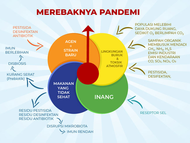 infografis.jpg