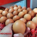 Jelang Perayaan Maulid, Harga Telur Ayam di Banyuwangi Meroket