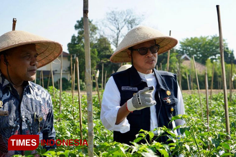 Transformasi Pertanian Modern, Petani Masa Kini Wajib Terapkan Smart ...