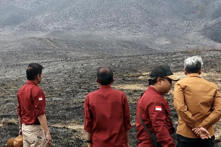 Kebakaran Savana Bromo Rugikan Rp5,4 Miliar, Pemulihan Ekosistem Rp3,5 Miliar