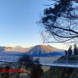 Discovering the Majestic Beauty of Mount Bromo East Java