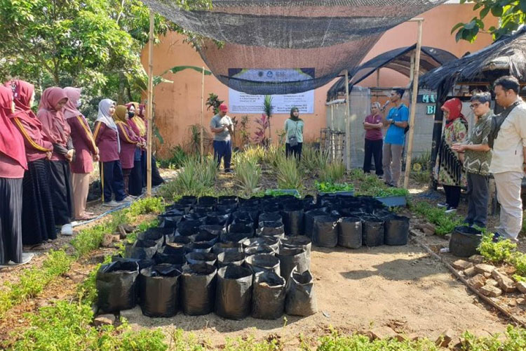 Tim Dosen UWG Malang Sosialisasikan Urban Farming Untuk Tingkatkan ...