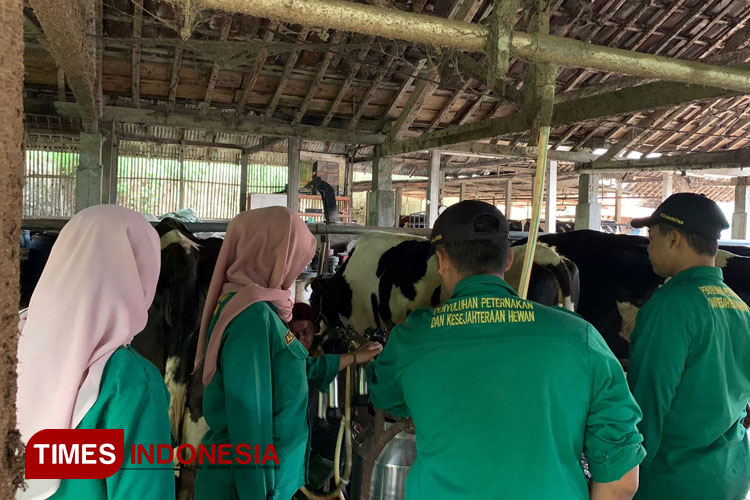 Program Praktik Out Campus di Polbangtan Malang. (Foto: Polbangtan Malang for TIMES Indonesia)