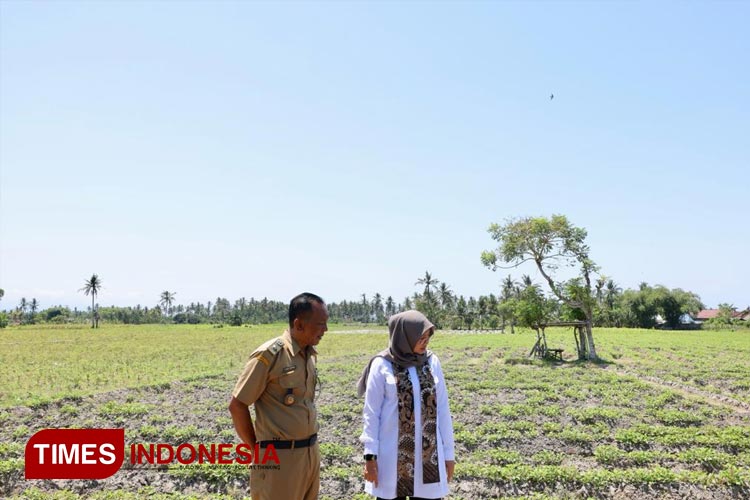 Musim Kemarau, Stok Beras di Banyuwangi Dipastikan Aman