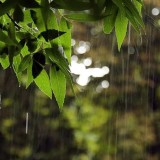 Prakiraan BMKG: Minggu (1/10/2023) Hujan Mulai Turun di Jatim