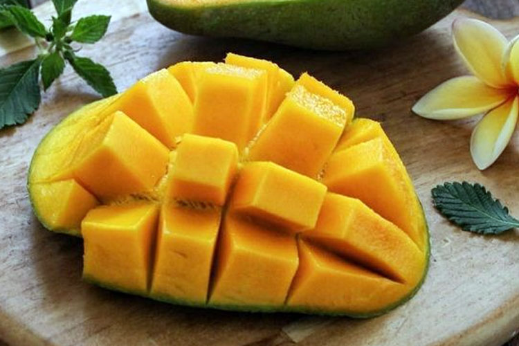 Mangga, buah tropis yang sedang masa panen. (FOTO: printerest)