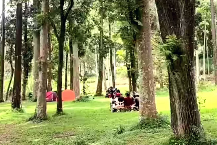Ini 4 Camping Ground Di Kabupaten Malang Dengan Pemandangan Terbaik Times Jatim 8637