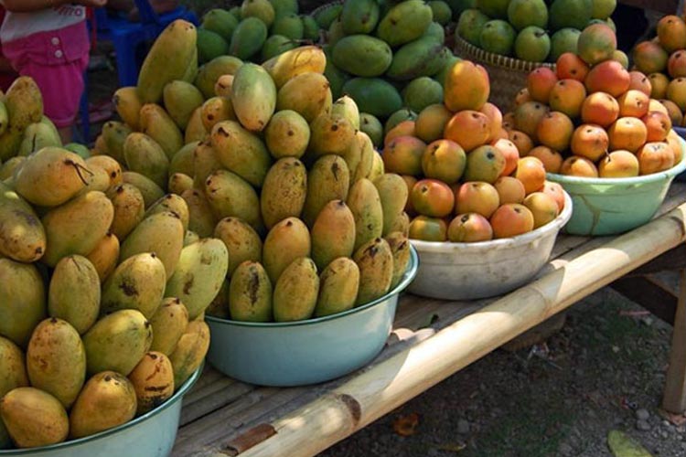 aneka-jenis-mangga.jpg