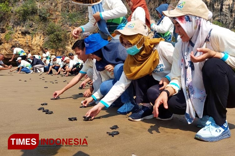 Suasana saat pelepasan ratusan tukik/penyu di Pantai Taman (FOTO: Rojihan/TIMES Indonesia)