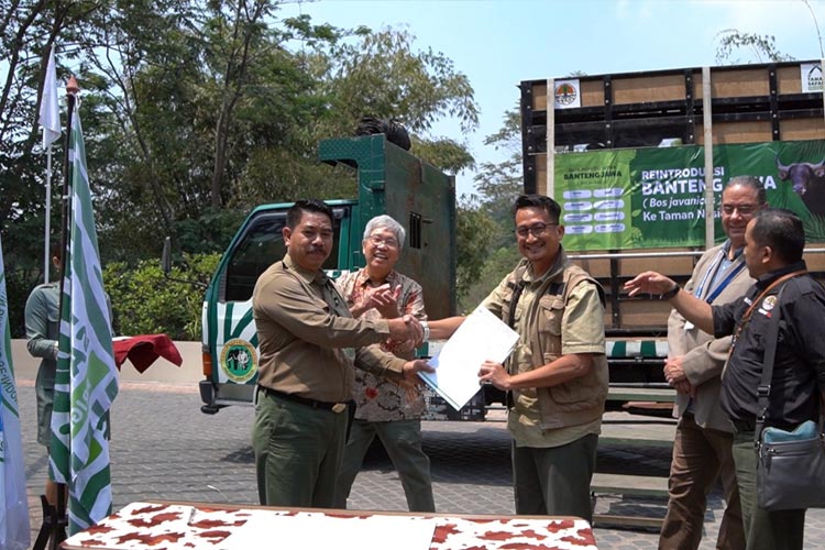 Pihak Taman Safari Prigen dan Taman Nasional Blauran melakukan penandatanganan saat pelepasliaran Banteng Jawa, Kamis (12/10/2023).(FOTO: Dok.Taman Safari Prigen)
