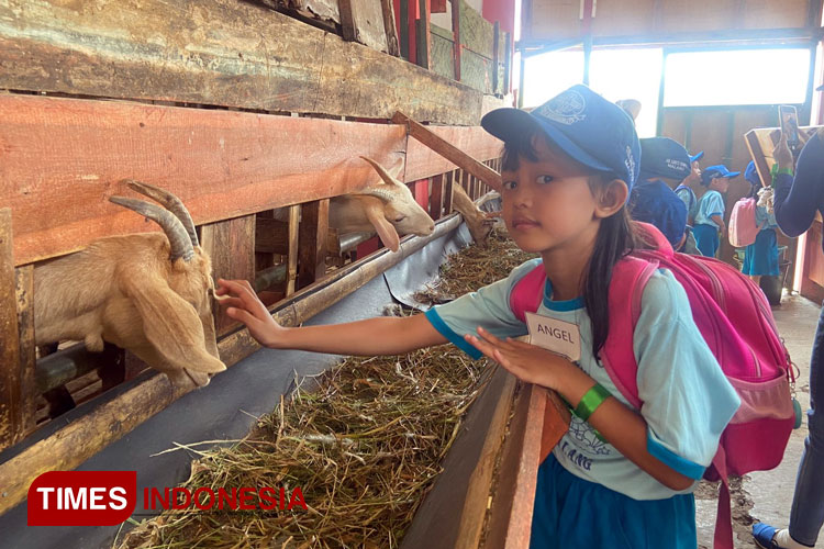 Kegiatan edukasi pertanian di Polbangtan Malang diikuti oleh 50 siswa-siswi TKK Santo Yusup III Malang (Foto: Polbangtan Malang for TIMES Indonesia)