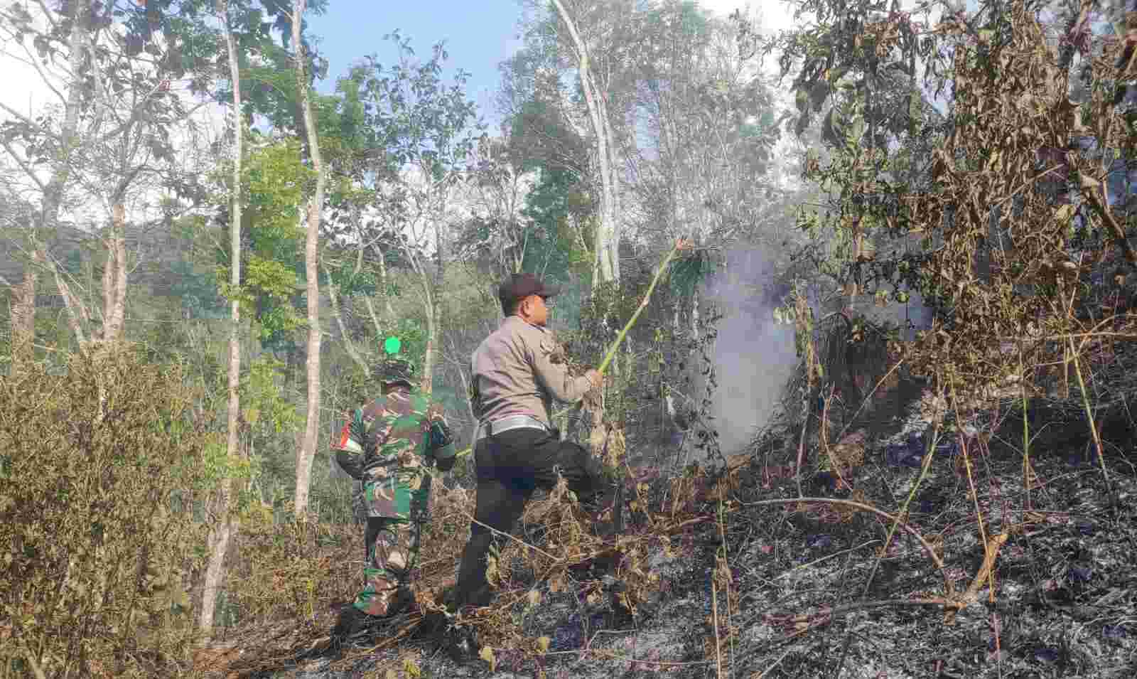 Babinsa Kalibaru Serma Dahlan dan Bhabinkamtibmas Kalibaru tak kenal lelah dan takut memadamkan api di lahan PTPN XII Jatirono, Banyuwangi. (Foto: Pendiam Banyuwangi for TIMES Indonesia) 