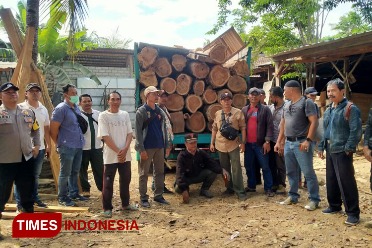 Petugas gabungan Perhutani KPH Banyuwangi Selatan dan Polsek Pesanggaran, mengamankan puluhan gelondong kayu jati ilegal. (Foto : Syamsul Arifin/TIMES Indonesia)