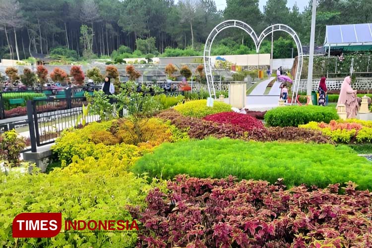 Pesona Bee Park Majalengka, Destinasi Romantis bagi Pecinta Bunga ...