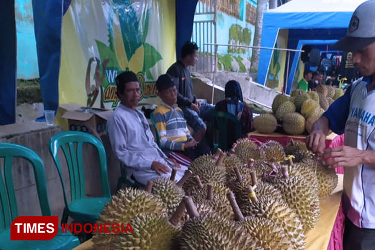 Pengunjung memilih durian dalam Festival Durian di Desa Sukowono Kecamatan Pujer Kabupaten Bondowoso. (FOTO: Moh Bahri/TIMES Indonesia)