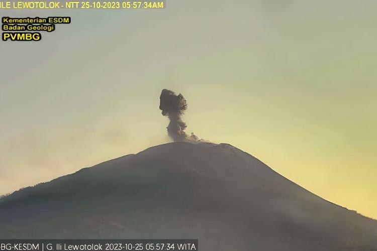 Gunung Ili Lewotolok Meletuskan, Lontarkan Abu Vulkanik Setinggi 500 Meter