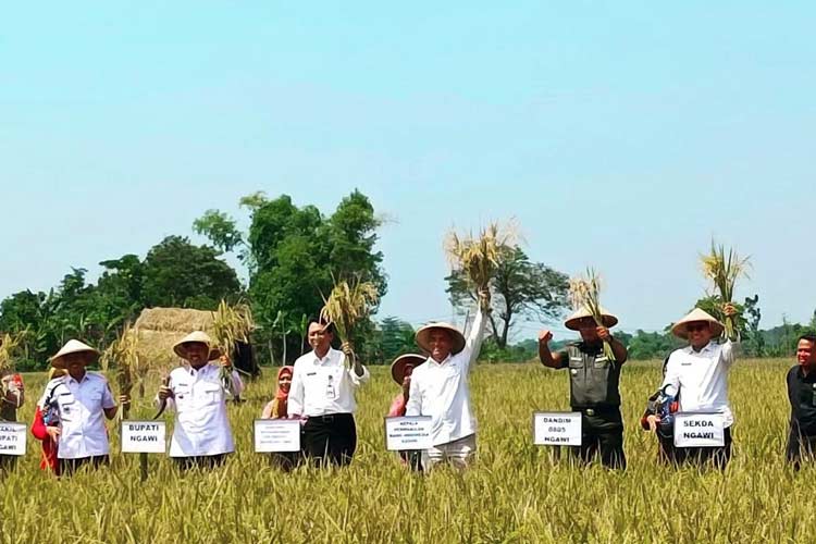 Kepala Dinas Pertanian dan Ketahanan Pangan Jatim Ir Dydik Rudy Prasetya saat menghadiri musim panen raya. (Foto : Dok.Dinas Pertanian Jatim)