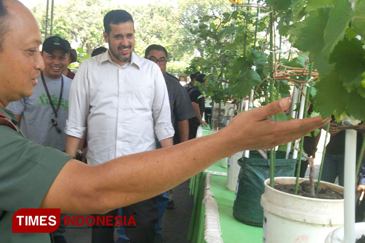 Dandim 0820 Probolinggo, Letkol Arm Heri Budiasto dan Wali Kota Probolinggo, Habib Hadi Zainal Abidin berkeliling melihat tanaman anggur dalam Kontes Anggur Probolinggo. (Foto: Sri Hartini/TIMES Indonesia)