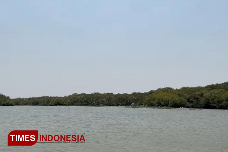 Pulau Dadapan, Benteng Pertahanan Tsunami Surabaya Timur