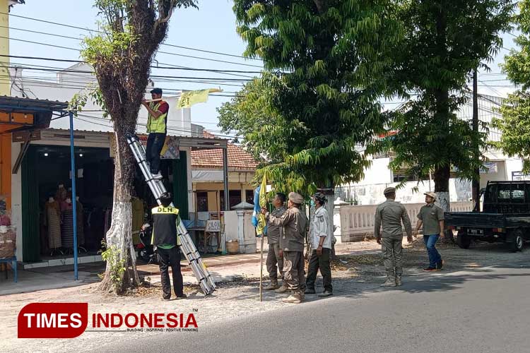 Satpol PP bersama Bawaslu dan DLH saat mencopot alat sosialisasi kampanye yang dipaku ke pohon (FOTO: Moh Bahri/TIMES Indonesia) 