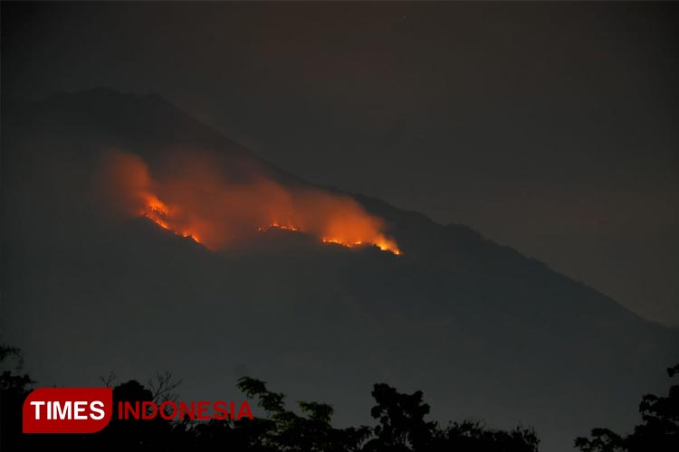 Gunung Penanggungan Usai Kebakaran, Apa Kabar Situs-situs Arkeolognya ...