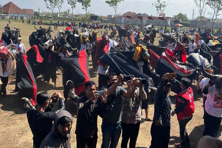 Bangga Dominasi Gen Z Menjadi Seniman Budaya Bantengan Di Malang Raya ...