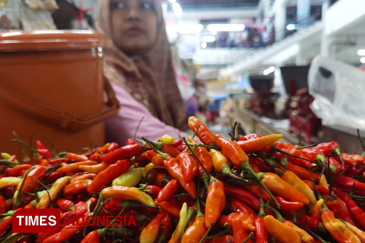 Cabai rawit merah di Kabupaten Ngawi masih mahal. Harga perkilogram menyentuh Rp65 ribu. (Foto: Miftakul/TIMES Indonesia)