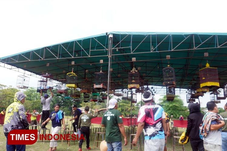 Animo peserta dari luar Kota Bontang menjadikan ajang lomba burung berkicau berpotensi mendongkrak perekonomian dan UMKM. (FOTO: Lalu for TIMES Indonesia) 