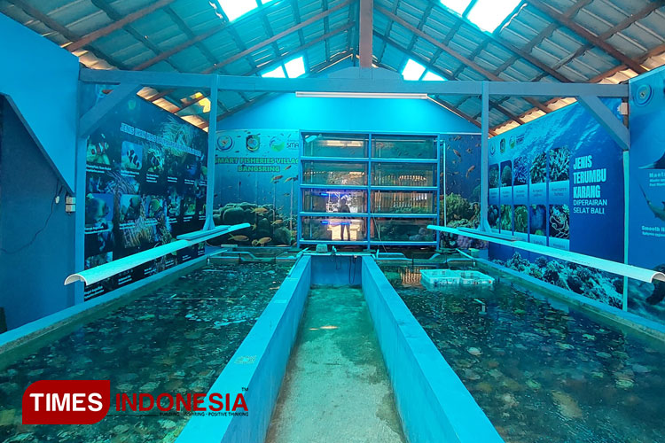 Coral House Pantai GWD Banyuwangi, tempat budidaya terumbu karang di perairan Selat Bali. (FOTO: Anggara Cahya/TIMES Indonesia)