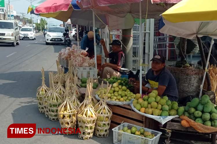 Salah satu pedagang yang menjual mangga Gendong Gincu di tepi ruas jalan Kabupaten Majalengka. (FOTO: Hendri Firmansyah/ TIMES Indonesia)