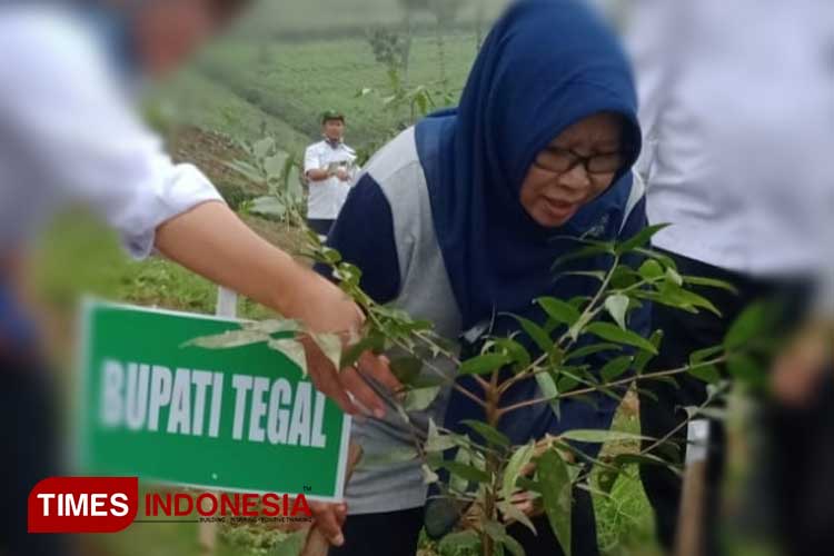 Bupati Tegal, Hj Umi Azizah awali penanaman pohon di Dukuh Sawangan Sigedong Bumijawa didampingi Administratur KKPH Pekalongan Barat Haris Setiana (Foto: Cahyo Nugroho For TIMES Indonesia)