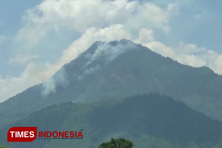 Gunung Panderman terbakar karena tersambar petir saat hujan deras kemarin. (FOTO: Muhammad Dhani Rahman/TIMES Indonesia)