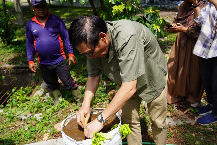 Perkuat Ketahanan Pangan, UM Lakukan Gerakan Tanam Ubi Jalar Ungu ...