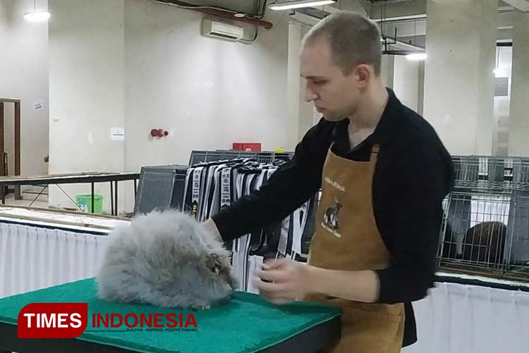 juri-saat-menilai-salah-satu-kelinci-a.jpg