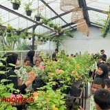 Beenyo Farm Jombang, Wisata Edukasi Alam Asyik dan Cocok untuk Pelajar