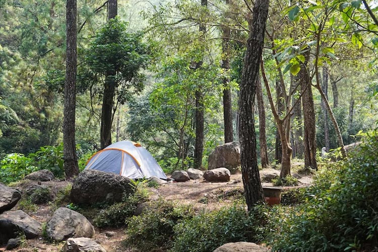 Embark on a Nature Odyssey: Unique Camping Experiences in Malang