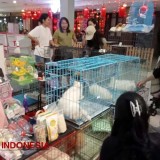 Malang Pet Expo Berhasil Wadahi Minat Para Pecinta Hewan