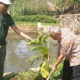 Gandeng Pemuda, PDM Kabupaten Malang Tanam Pohon di Sumber Air Umbul Sari