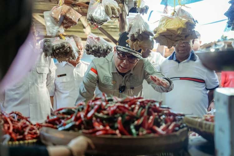 Wamentan, Harvick Hasnul Qolbi,  saat sidak di Pasar Wosi Kabupaten Manokwari, Papua Barat, pada Sabtu (2/12/2023) (Foto: Kementan RI)