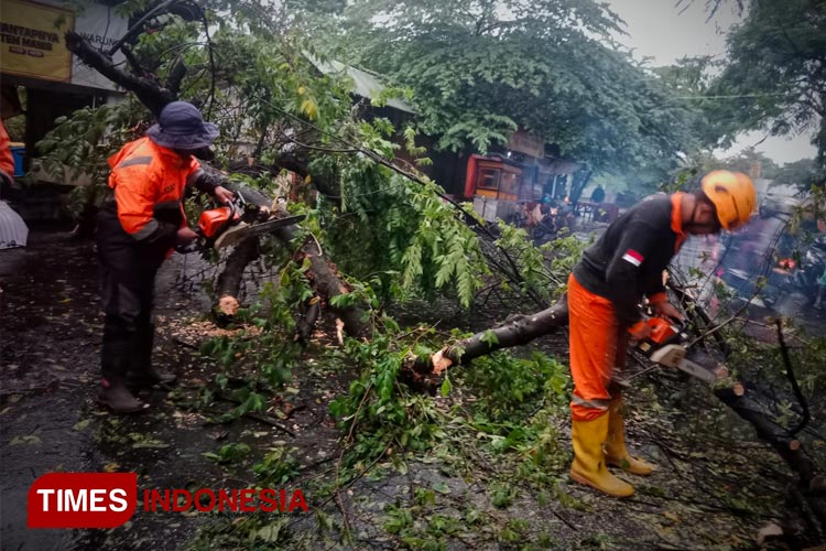 Cuaca Ekstrem, Jalan Lingkar Dadaha Tasikmalaya Sempat Tutup