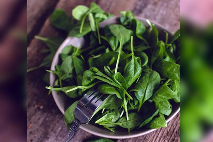 The Incredible Health Benefits of Consuming Spinach Leaves