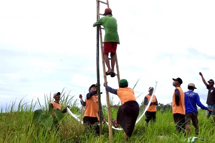Dinas Perkebunan Provinsi Jawa Timur membantu penanganan masalah uret di Lumajang. (Foto: Efendi for TIMES Indonesia)