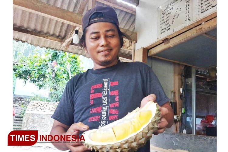 Panen Raya Durian di Kabupaten Pacitan, Omzet Pedagang Naik Turun