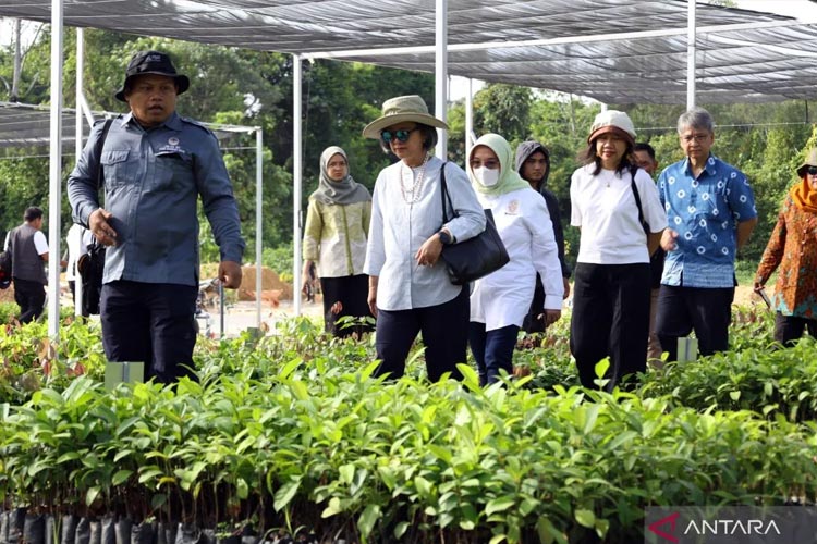 Delegasi PBB Tinjau Keselarasan Pembangunan Ibu Kota Nusantara dengan SDGs