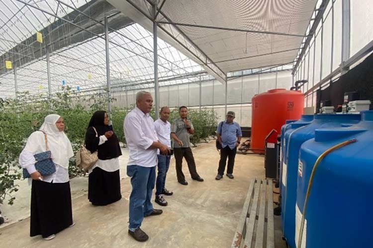 Banggai Lakukan Studi Tiru Smart Farming di BBPP Ketindan. (Foto: BBPP Ketindan)